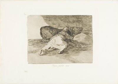 Hij haalt er iets uit, plaat 40 uit De rampen van de oorlog door Francisco Jose de Goya y Lucientes