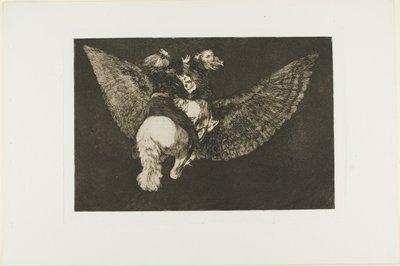 Verlaat de Vriend Die Je Bedekt met Zijn Vleugels en Je Bijt met Zijn Snavel, plaat vijf uit Los Proverbios door Francisco Jose de Goya y Lucientes