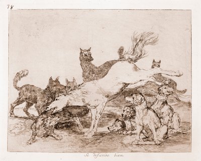 De rampen van de oorlog: Hij verdedigt goed (ets van voorbereidende tekening) door Francisco de Goya
