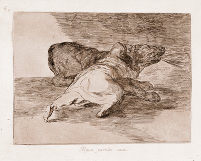 De rampen van de oorlog: Hij plukt er wat vruchten van (gravure uit de voorbereidende tekening) door Francisco de Goya