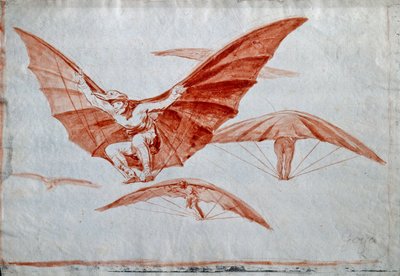 Manieren van vliegen door Francisco Jose de Goya y Lucientes