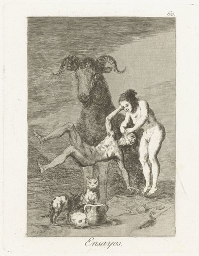 Beproevingen door Francisco de Goya