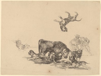 Stier Aangevallen door Honden door Francisco de Goya
