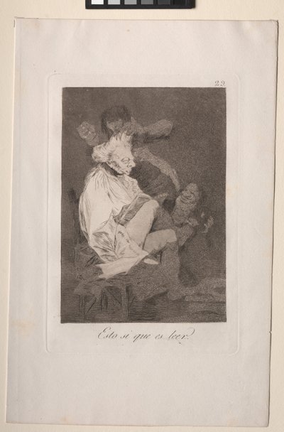 Caprichos: Dat is zeker kunnen lezen door Francisco de Goya