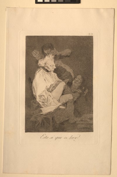 Caprichos: Dat is zeker kunnen lezen door Francisco de Goya