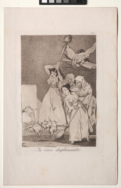 Caprichos: Daar gaan ze geplukt (d.w.z. geschoren) door Francisco de Goya