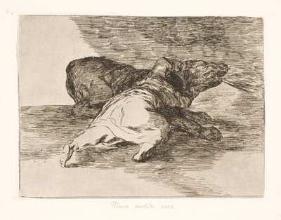 Hij haalt er iets uit! (40) door Francisco de Goya
