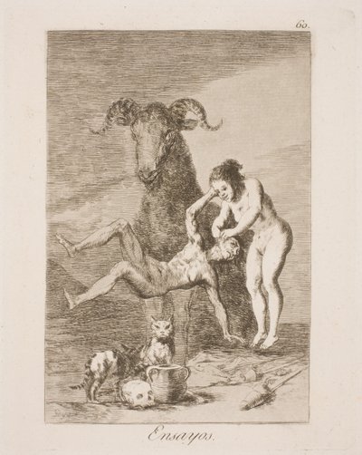 Experiment door Francisco de Goya
