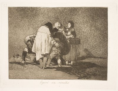 Hij stierf, zonder dat men hem kon helpen (53) door Francisco de Goya