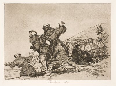Ook dit (43) door Francisco de Goya