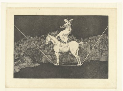 Precieze dwaasheid door Francisco de Goya