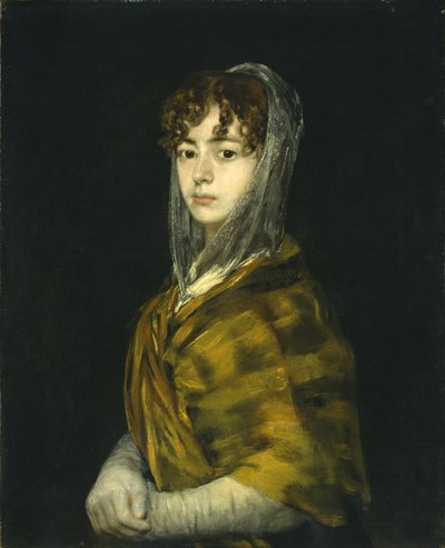 Senora Sabasa Garcia door Francisco de Goya