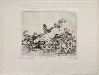 De verschrikkingen van de oorlog: Hij verdedigt zich goed door Francisco de Goya