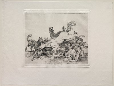 De verschrikkingen van de oorlog: Hij verdedigt zichzelf goed door Francisco de Goya