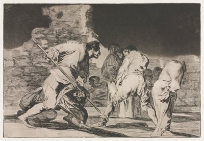 De Spreuken: De Dwaasheid van Woede door Francisco de Goya