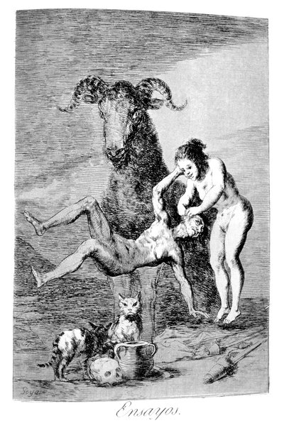 Rechtszaken door Francisco de Goya