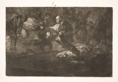Onze Heer schept hen, en ze eindigen in mooie vereniging / Vogels van dezelfde veer vliegen samen door Francisco de Goya
