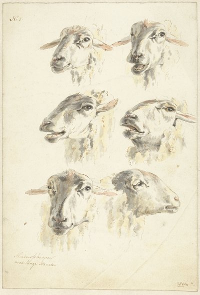 Studieblad met zes schaapskoppen door Franciscus Andreas Milatz (attributed to)