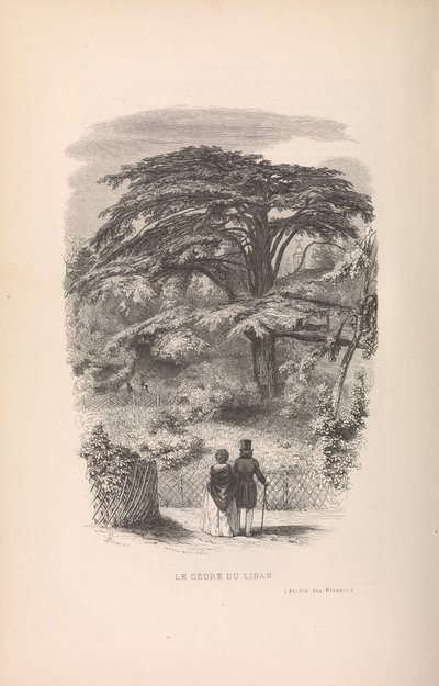 Le Jardin des Plantes, Beschrijvingen en gewoonten van de zoogdieren, 1842 door Francois Boitard