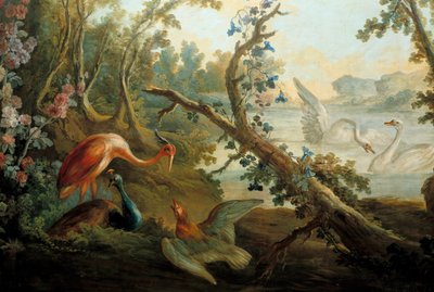 Zwanen en pauwen door François Boucher