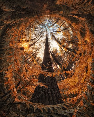  door Francois Casanova