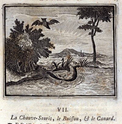 De vleermuis, de struik en de eend. Fabels van Jean de La Fontaine. Illustratie door François Chauveau. Editie van 1728. door Francois Chauveau