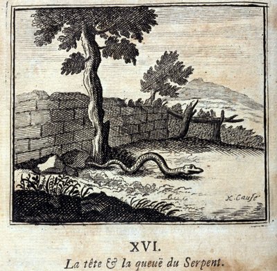 De kop en staart van de slang. Fabels door Jean de La Fontaine (1621-95). Illustratie door François Chauveau (1613-1676). Editie van 1728. door Francois Chauveau