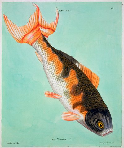 Le Noriroux, 18e eeuw door Francois Nicolas Martinet
