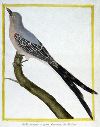 Vliegen door Francois Nicolas Martinet