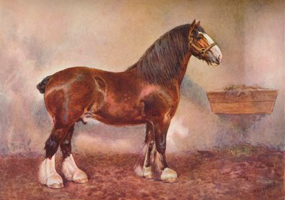Clydesdale hengst Prins van Albion, ca. 1900-1910 door Frank Babbage
