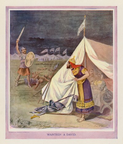 Gezocht! Een David (kleurenlitho) door Frank Beard