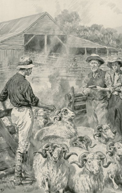 Een schapenstation op Canterbury Plains door Frank Dadd
