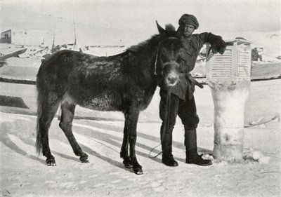 Gran met muilezel Lal Khan, ca. 1911, 1913 door Frank Debenham