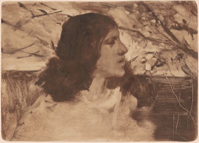 Hoofd van een vrouw door Frank Duveneck