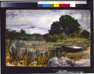 Polling Landschap door Frank Duveneck