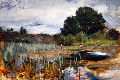 door Frank Duveneck