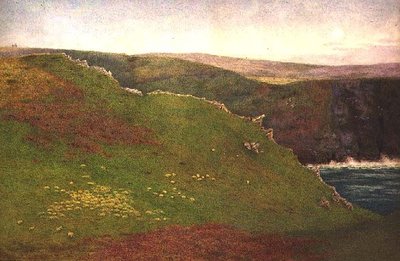 Uitzicht op de kust van Cornwall door Frank Goodwin