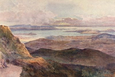 Nieuw-Zeeland: Coromandel door Frank H Wright