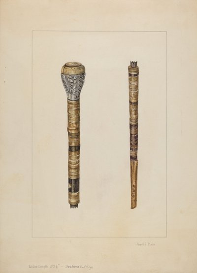 Koehoorn wandelstok door Frank J. Mace