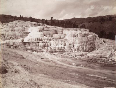 Minerva Terrace, Mammoth Hot Springs door Frank Jay Haynes
