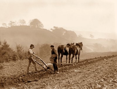 Boeren die een veld ploegen op Lealholm Hall Farm, Whitby. c.1889 door Frank Meadow Sutcliffe