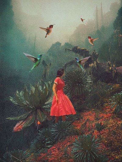  door Frank Moth