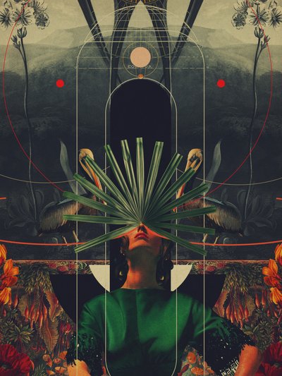  door Frank Moth