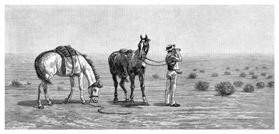 Niets in Zicht, 1886 door Frank P. Mahony