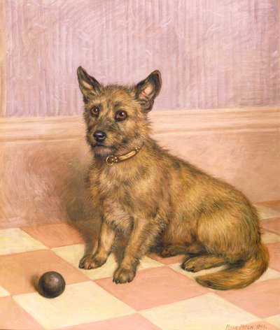 Wachten om te Spelen, een Cairn Terrier met een Bal door Frank Paton