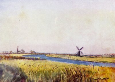 Norfolk Broads: Boven St Olaves door Frank Southgate