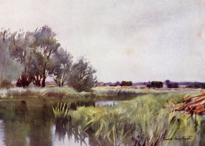 Norfolk Broads: Moerashooien - Vervoer op de Yare door Frank Southgate