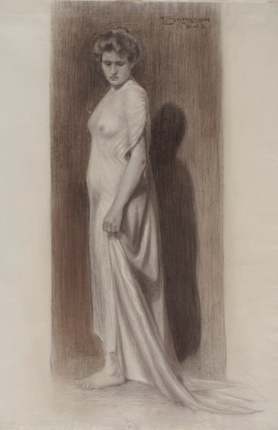Vrouwelijke figuur door Frank Tenney Johnson
