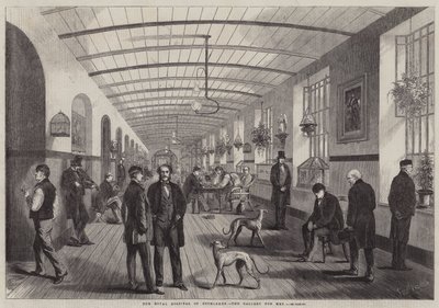 Het Koninklijk Ziekenhuis van Bethlehem, de Galerij voor Mannen door Frank Vizetelly