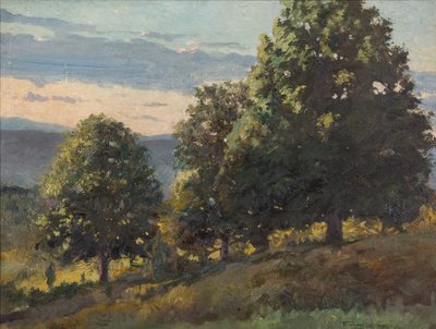 Landschap door Frank Von der Lancken